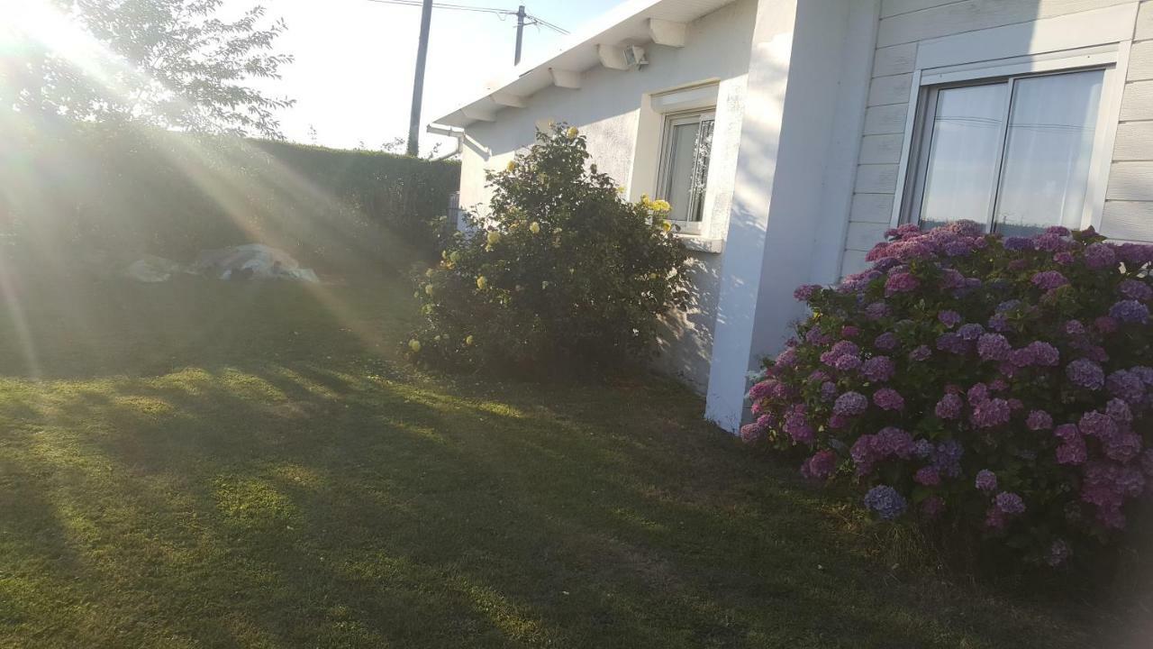 La Maison Des Oiseaux Eu (Seine-Maritime) Bagian luar foto
